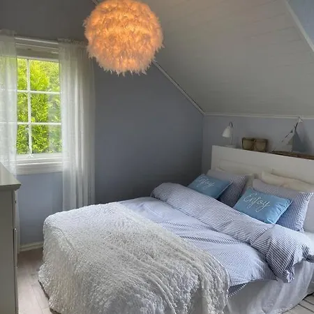 Drommested For Idylliske Dager Skjoldastraumen